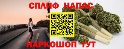 СК Ярославль