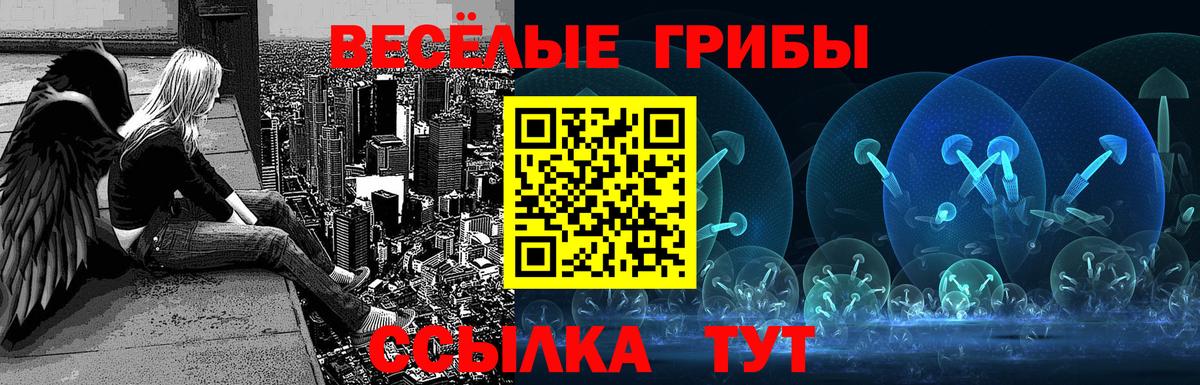 Галлюциногенные грибы Psilocybine cubensis Верхний Уфалей