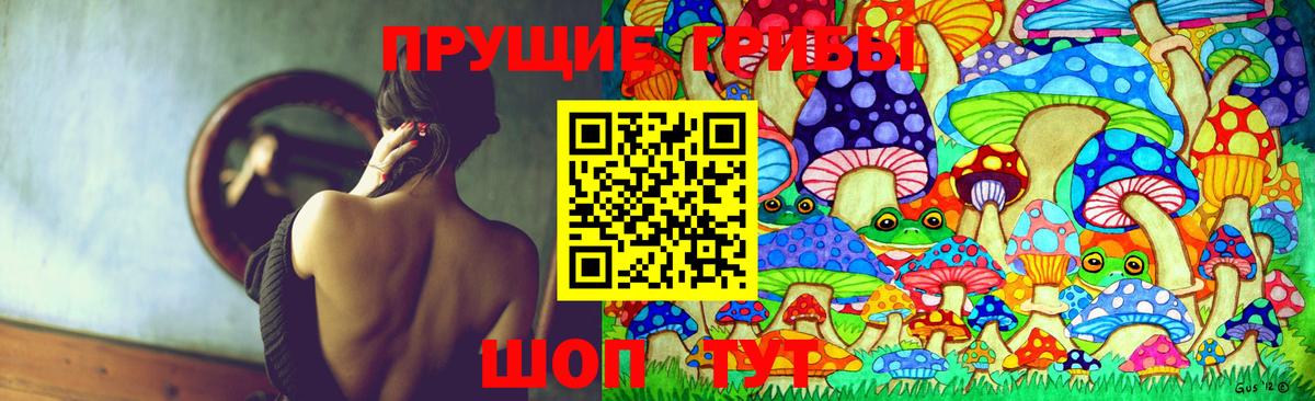 Верхний Уфалей  Галлюциногенные грибы Psilocybe  Вход с VPN 